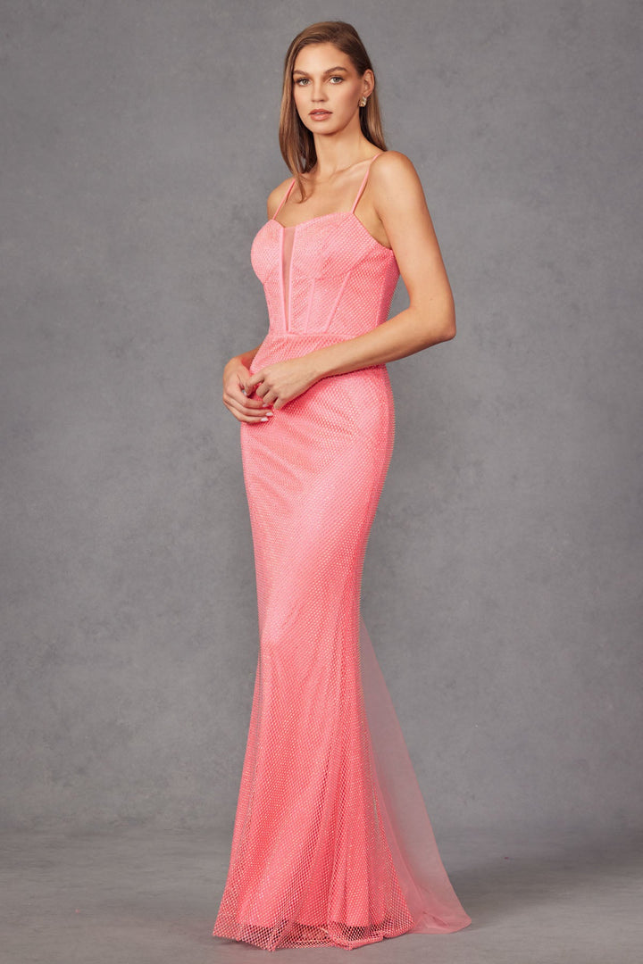 Rhinestone Net Mesh Fitted Corset Long Prom Dress JTJT2470S-3