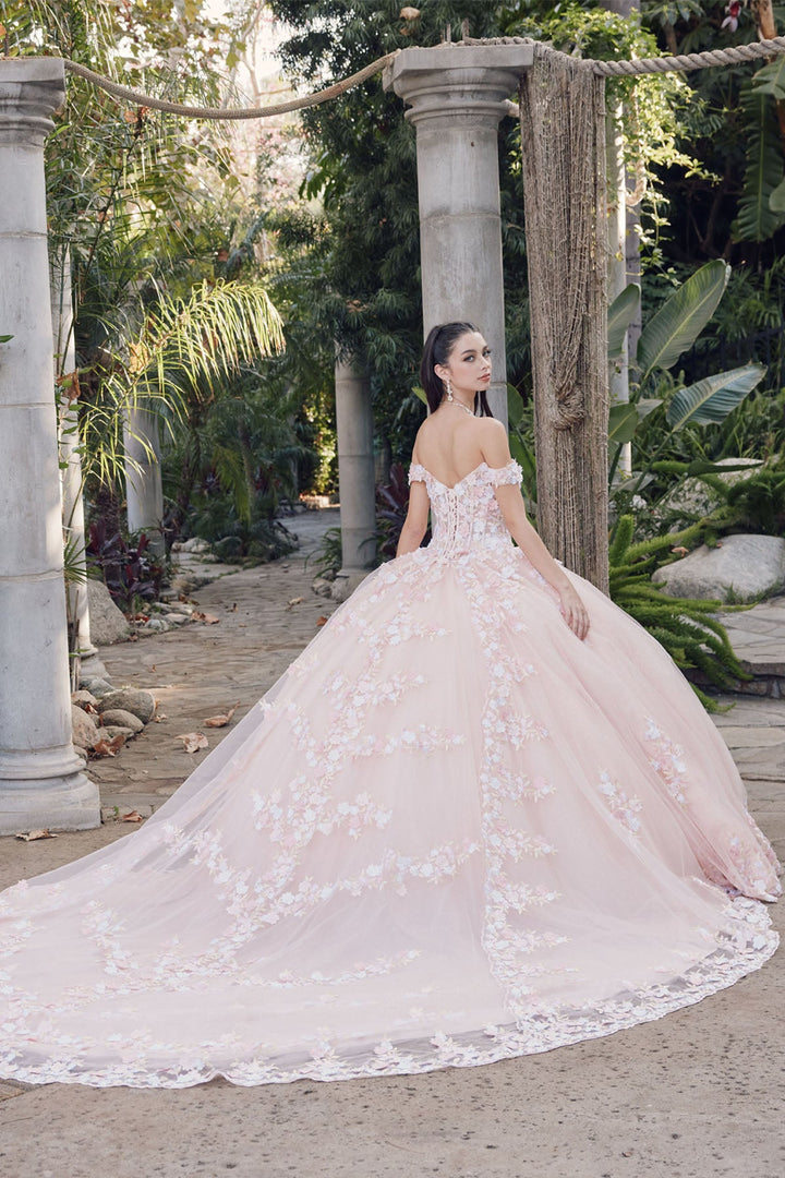 Off Shoulder Embroidered Lace Open Corset Back Long Quinceanera Dress JTJT1460J-1