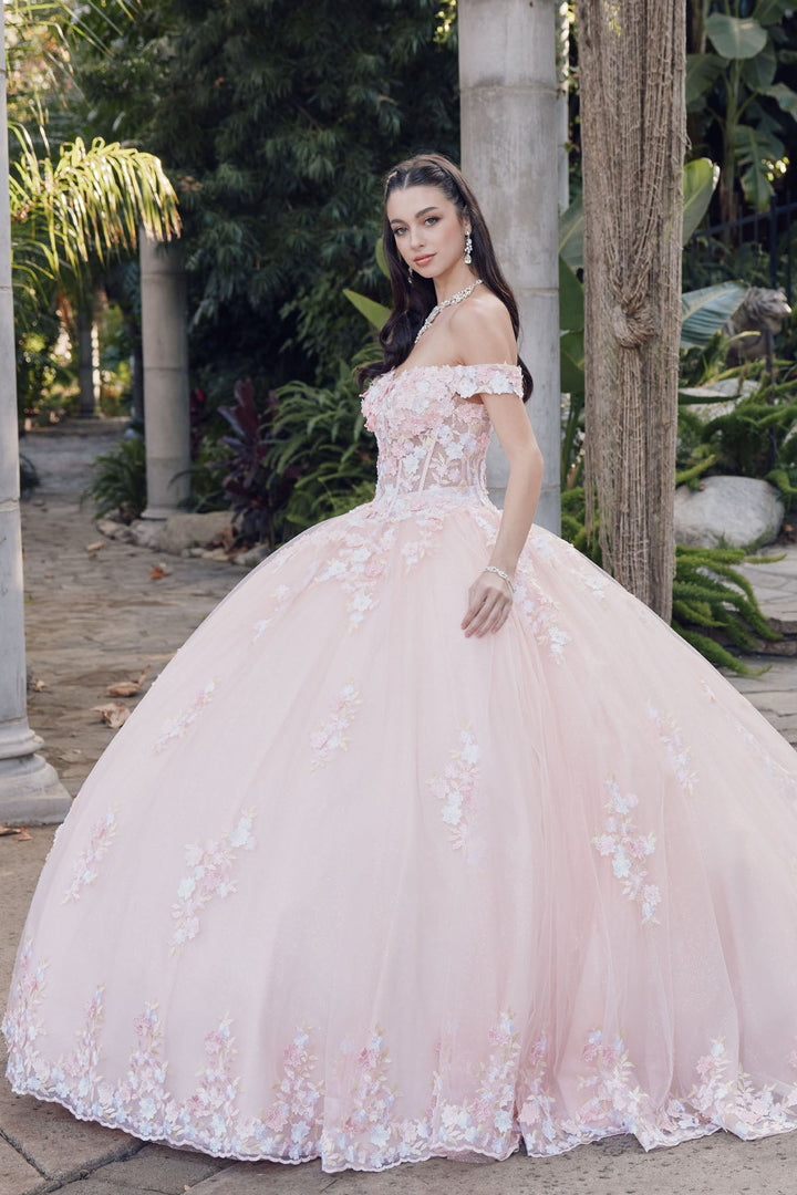 Off Shoulder Embroidered Lace Open Corset Back Long Quinceanera Dress JTJT1460J-2