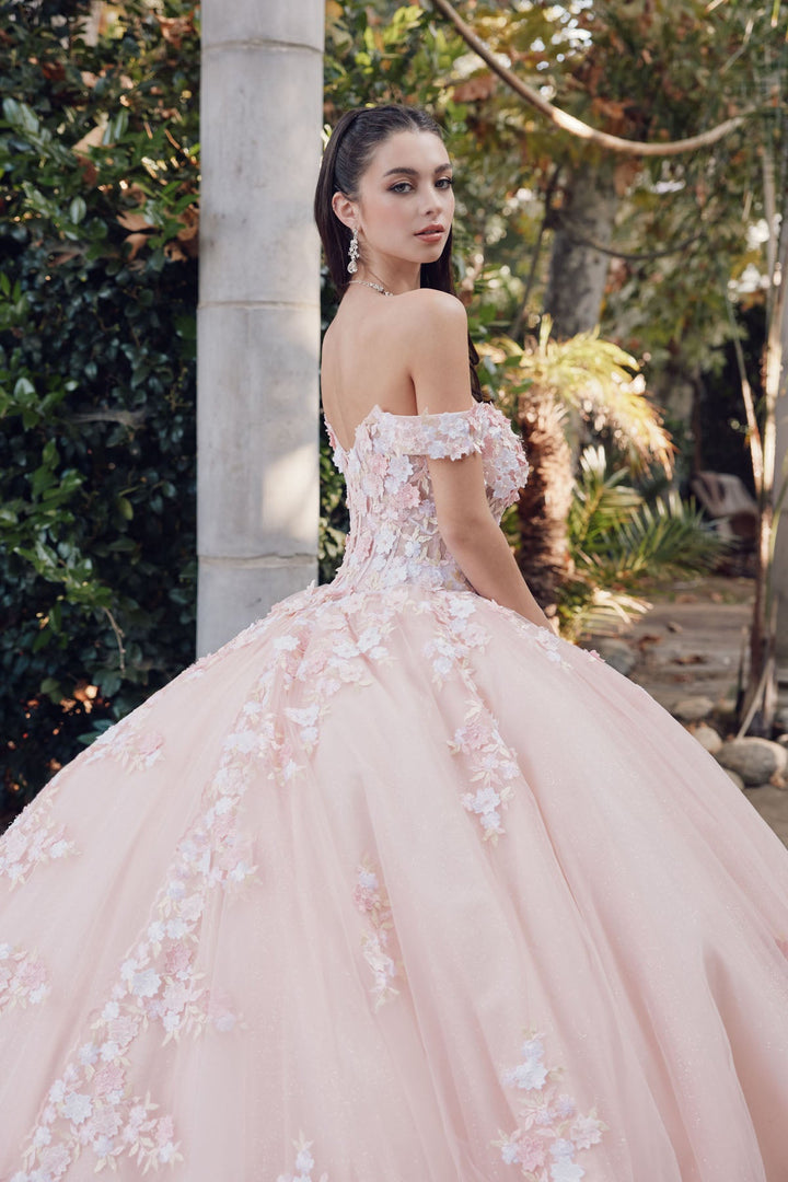 Off Shoulder Embroidered Lace Open Corset Back Long Quinceanera Dress JTJT1460J-3
