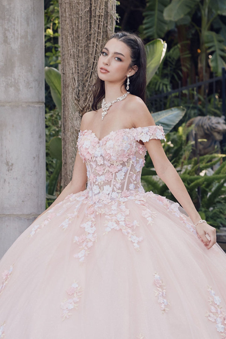 Off Shoulder Embroidered Lace Open Corset Back Long Quinceanera Dress JTJT1460J-4