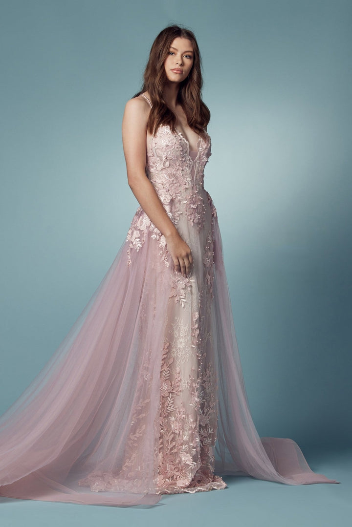 Embroidered Lace Illusion V-Neck Tulle Skirt Long Prom Dress NXF485-1