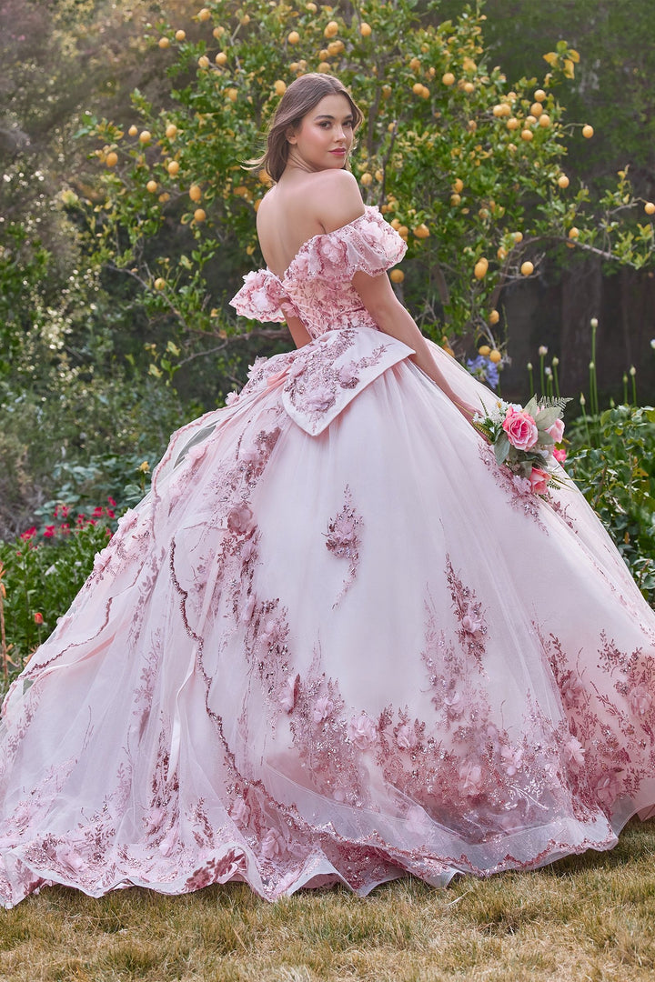 Floral Off The shoulder Laced Back Bodice Applique Long Ball & Prom Dress CD15701-4