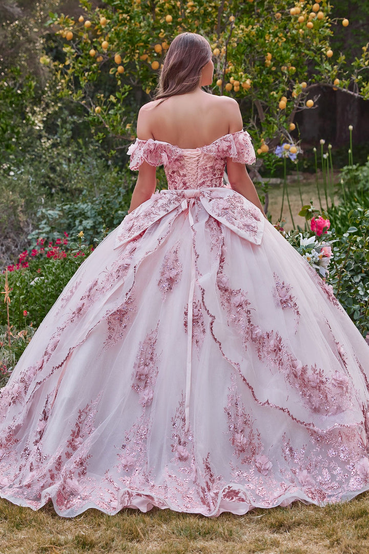 Floral Off The shoulder Laced Back Bodice Applique Long Ball & Prom Dress CD15701-3
