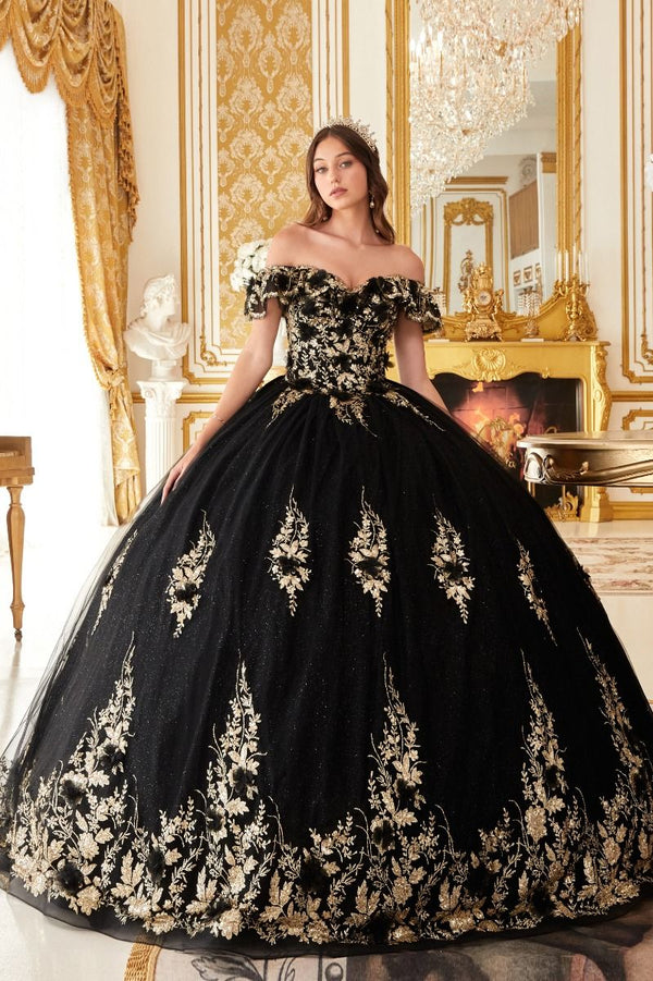 Floral Off The shoulder Laced Back Bodice Applique Long Ball & Prom Dress CD15701-0