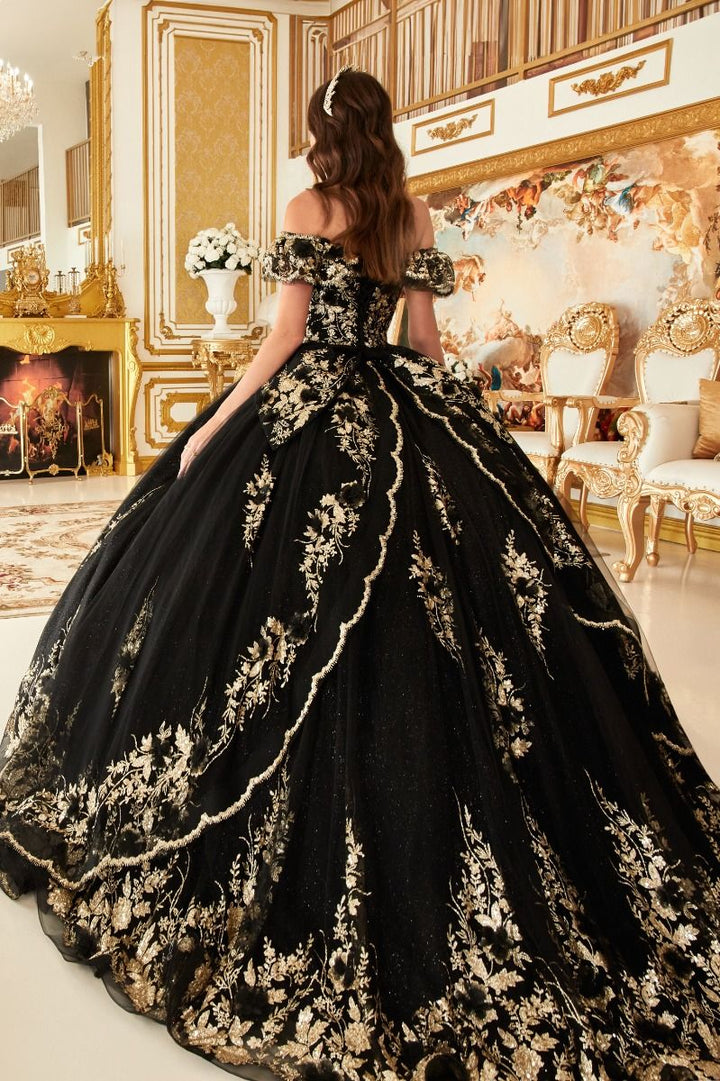 Floral Off The shoulder Laced Back Bodice Applique Long Ball & Prom Dress CD15701-1