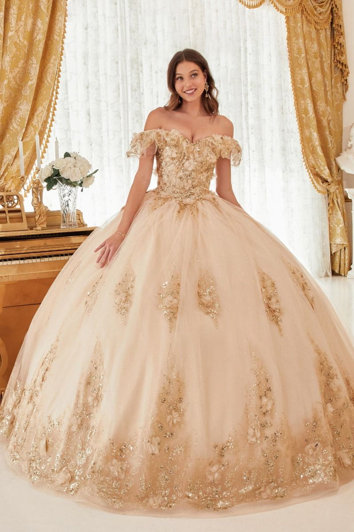 Floral Off The shoulder Laced Back Bodice Applique Long Ball & Prom Dress CD15701-5