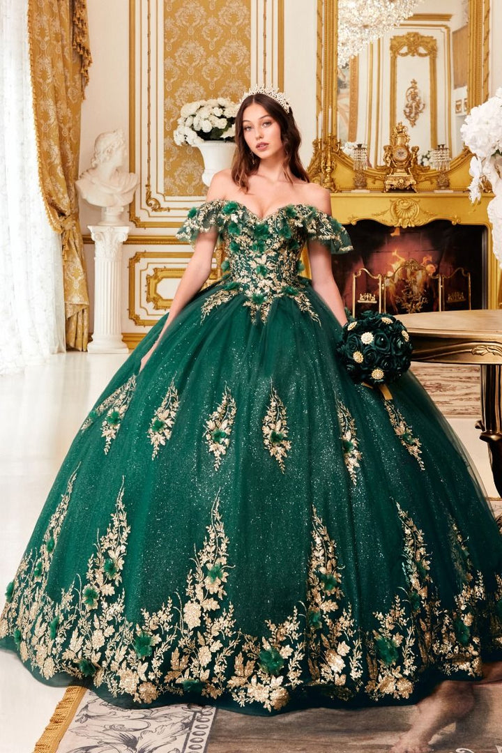 Floral Off The shoulder Laced Back Bodice Applique Long Ball & Prom Dress CD15701-6