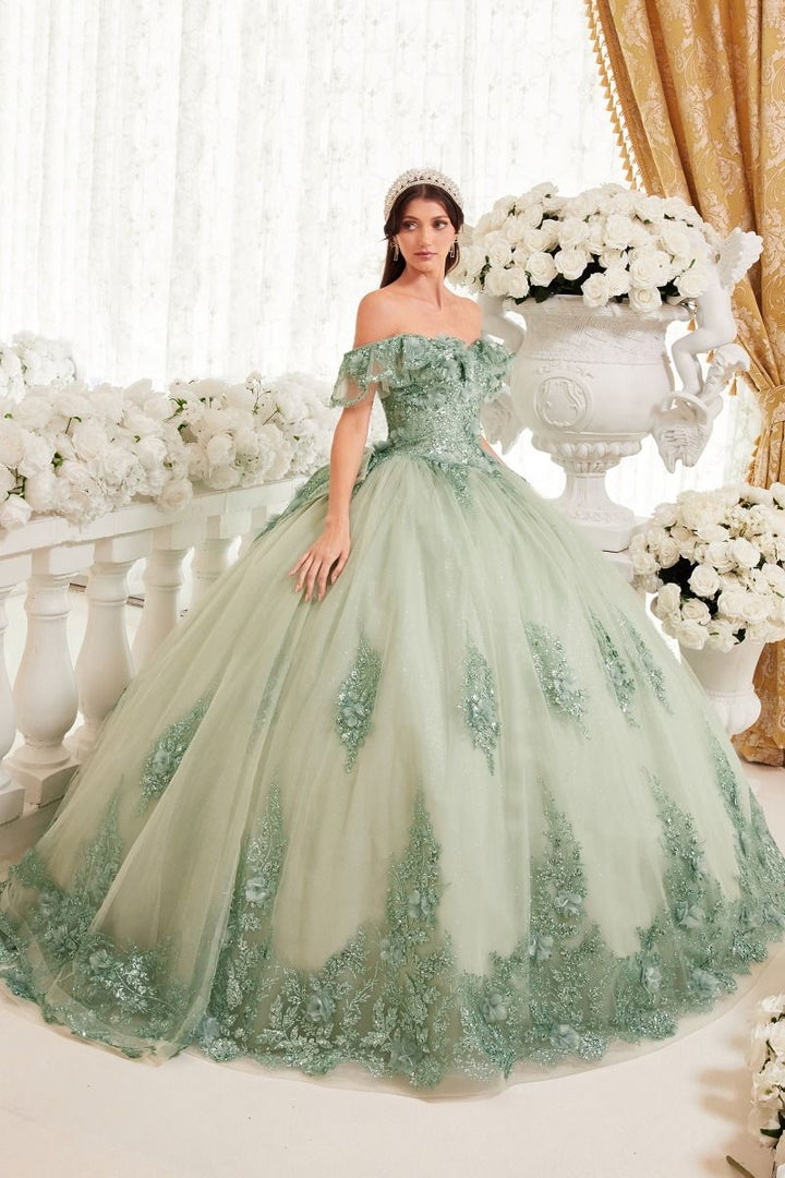 Floral Off The shoulder Laced Back Bodice Applique Long Ball & Prom Dress CD15701-8