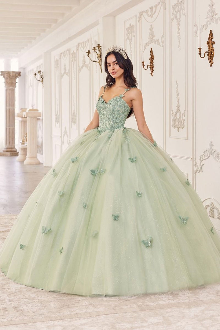 Sage Layered Tulle A-Line Sweetheart Long Ball Dress CD15718-0