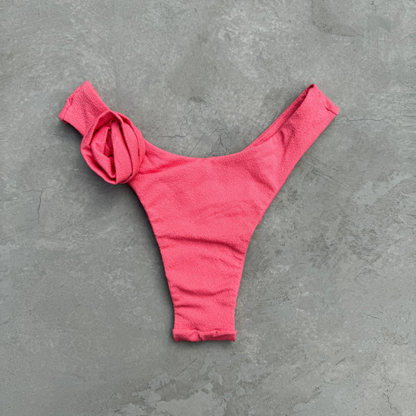 Seashore Textured Coral Delight Bia Flower Bikini Bottom-0
