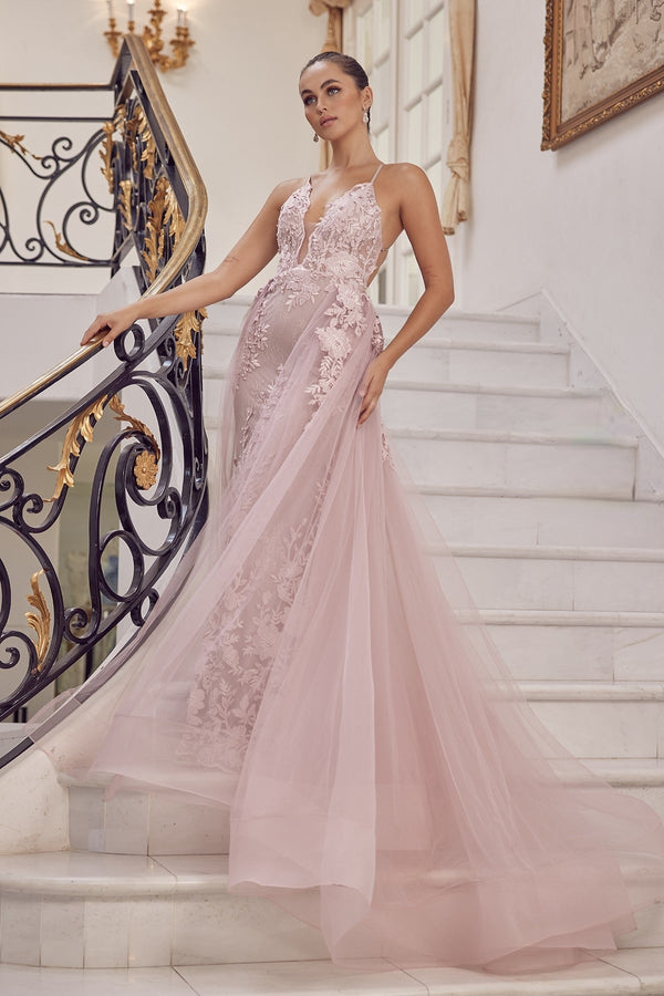 Embroidered Lace Illusion V-Neck Tulle Skirt Long Prom Dress NXF485-0