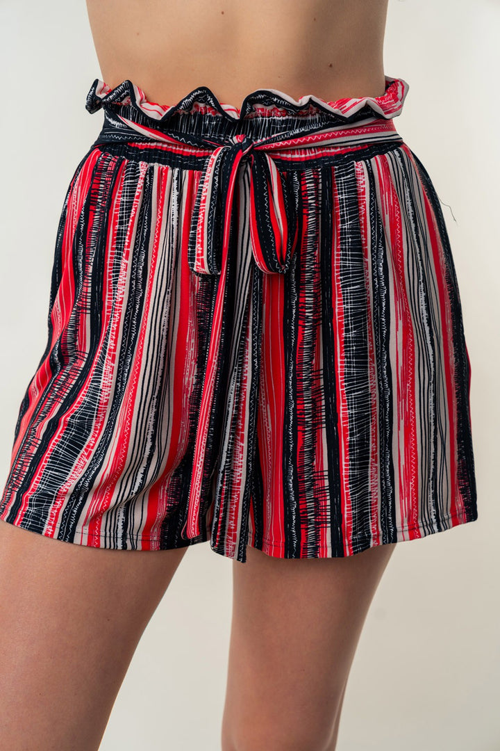 White Birch Full Size High Waisted Striped Shorts-2