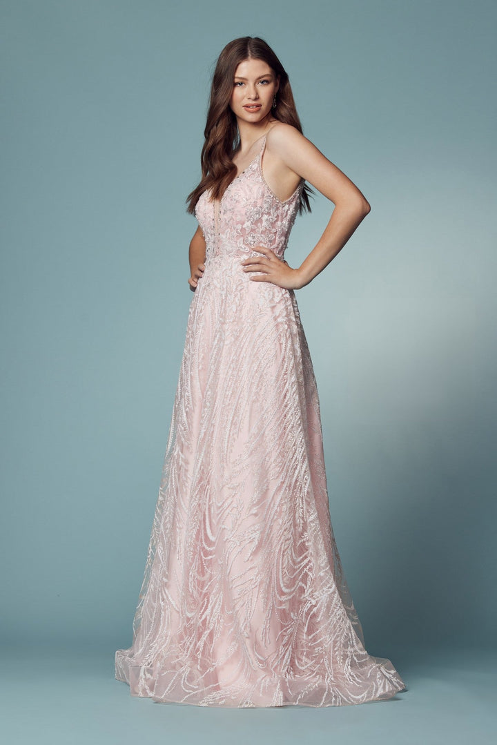 Embroidered Lace Illusion V-Neck A-Line Long Prom Dress NXT1009-1