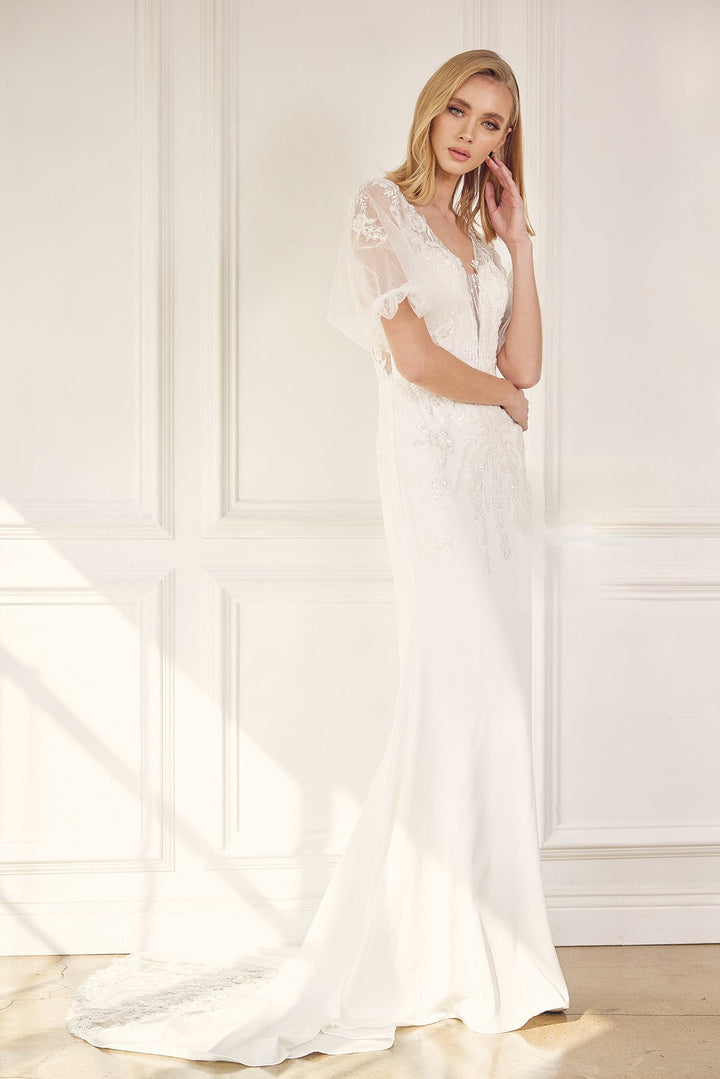 Embroidered Lace Sheer Back Tail Long Wedding Dress NXJE927-2