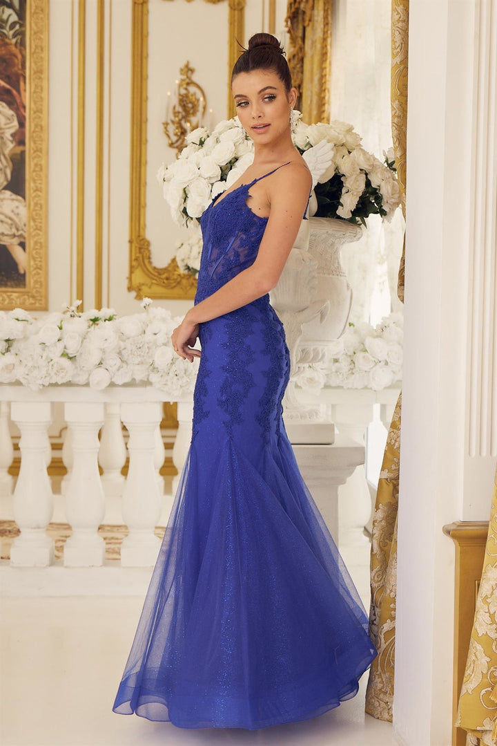 Embroidered Bodice Tulle Skirt Mermaid Long Prom Dress NXP1170-2