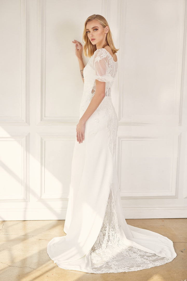 Embroidered Lace Sheer Back Tail Long Wedding Dress NXJE927-3