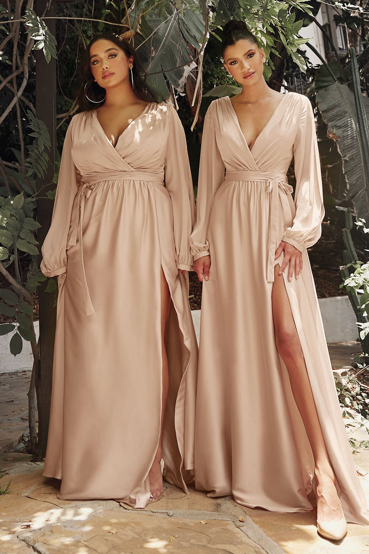 Satin V-Neckline Fitted on a waist A-Line Skirt Leg Slit Long Evening Dress-6