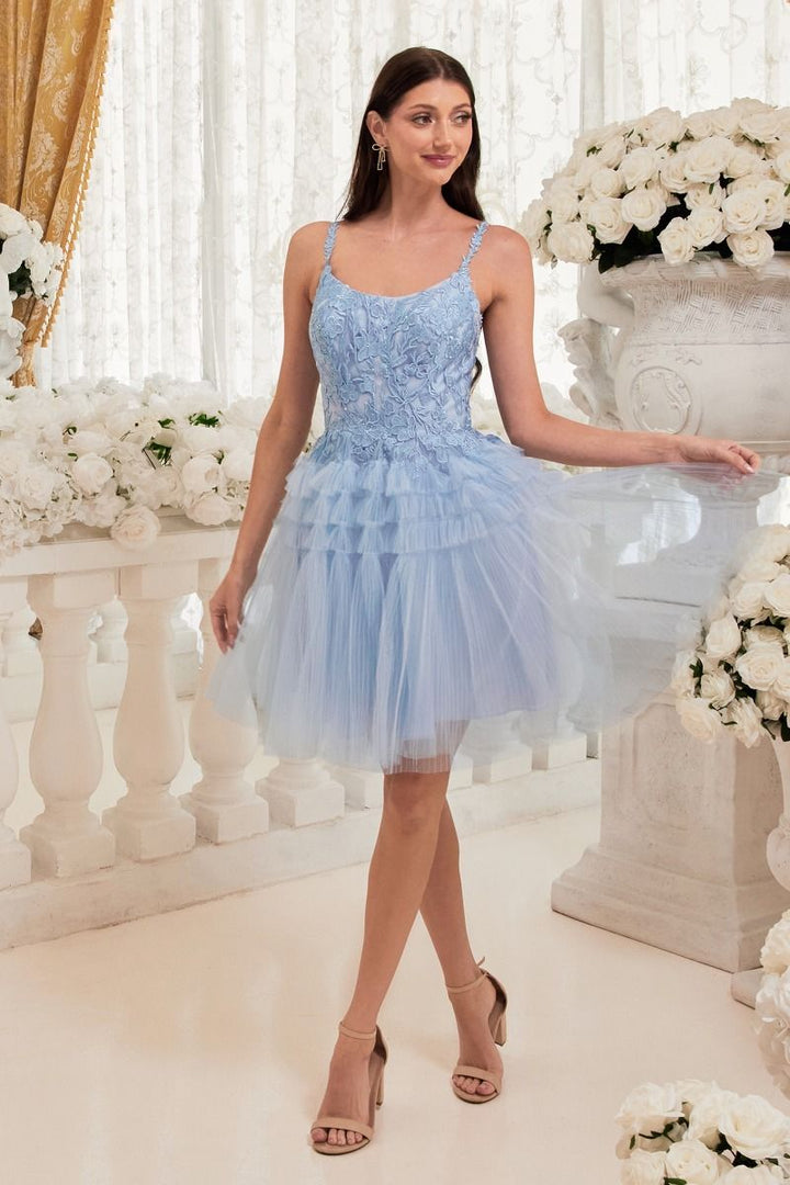 Pleated A-Line Tulle Skirt Short Cocktail & Homecoming Dress CD9310-1