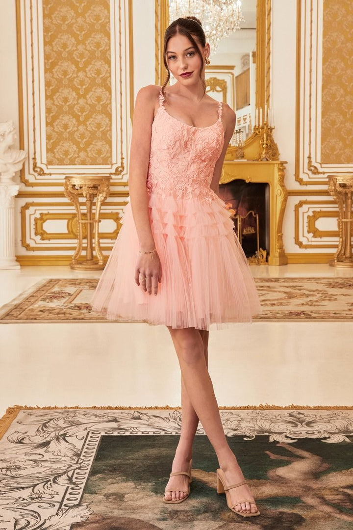 Pleated A-Line Tulle Skirt Short Cocktail & Homecoming Dress CD9310-3