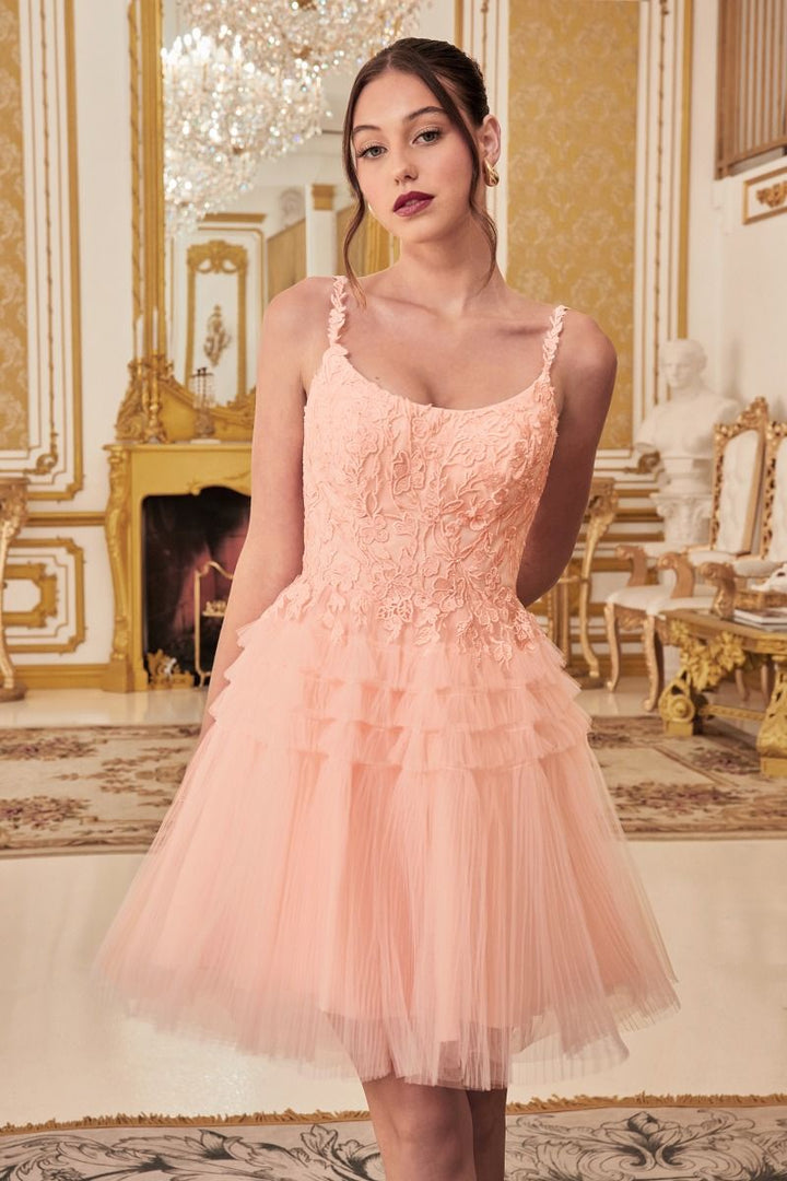 Pleated A-Line Tulle Skirt Short Cocktail & Homecoming Dress CD9310-4