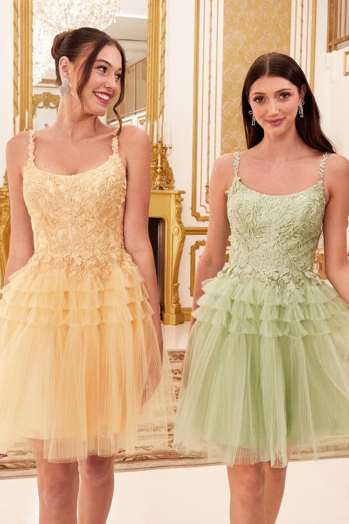Pleated A-Line Tulle Skirt Short Cocktail & Homecoming Dress CD9310-6