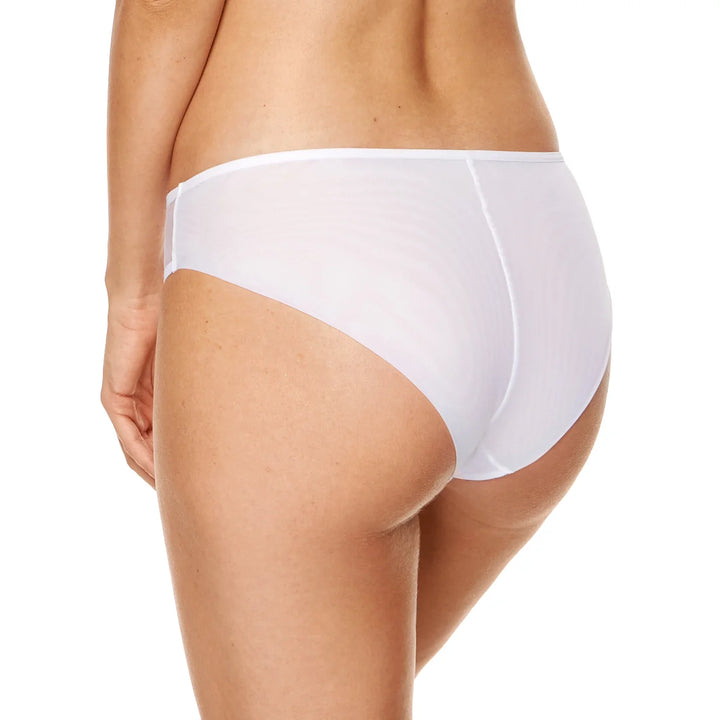 Sheer Mesh Embroidery Bikini Panty Gorteks Angel-1