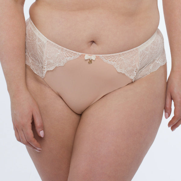 Sheer Mesh Tulle Embroidered Brief Panty Anabelle-0