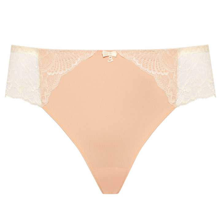 Sheer Mesh Tulle Embroidered Brief Panty Anabelle-2