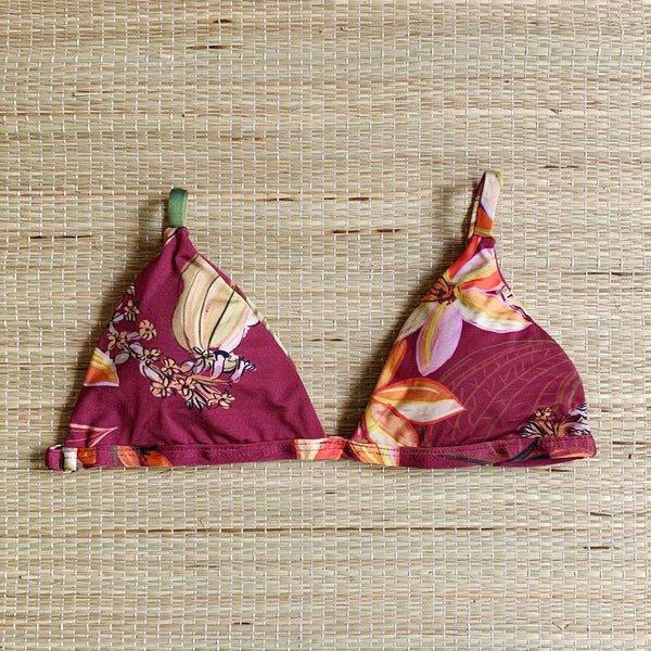 Caraiva Neo Triangle Bikini Top-0