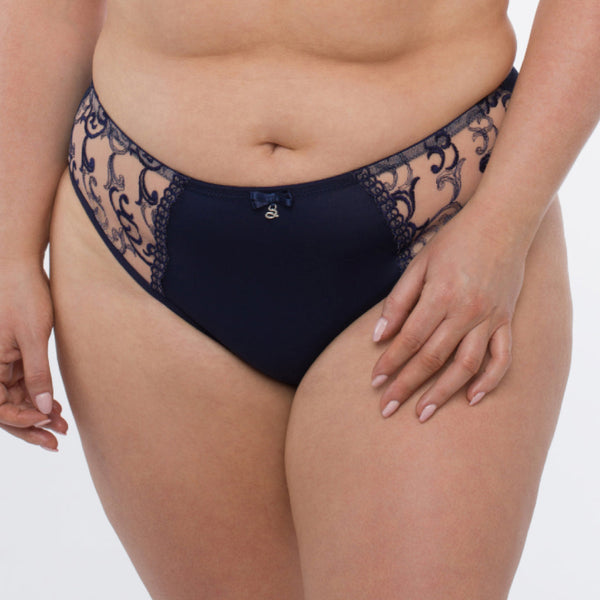 Sheer Mesh Tulle Embroidered Brief Panty Hazel-0