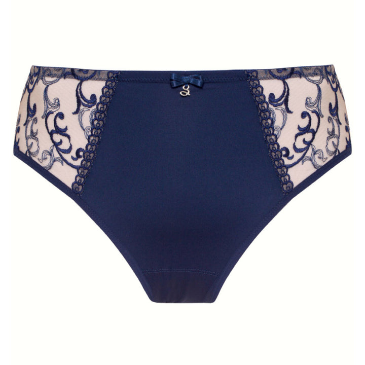 Sheer Mesh Tulle Embroidered Brief Panty Hazel-2