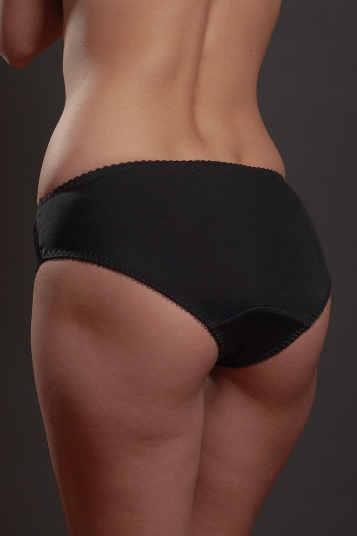 Sheer Mesh Lace Trim Bikini Panty Lavinia Silver Feathers-1