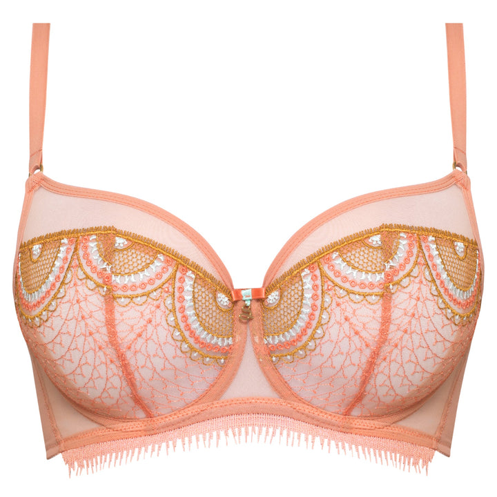 Sheer Mesh Embroidered Full Coverage Bra Lea-2