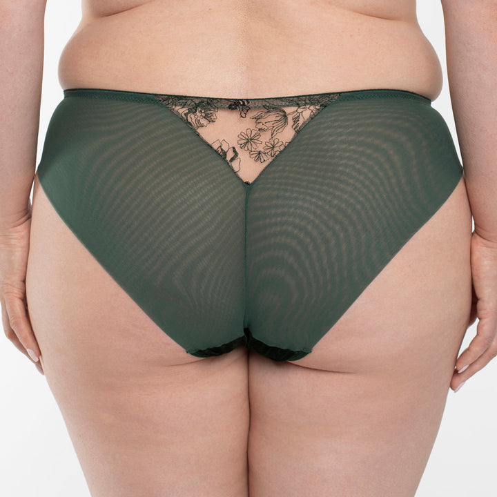 Velvet Sheer Embroidered Brief Panty Ola-1