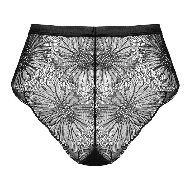 Sexy Lace Cutout Panty Obsessive Mibelia-3