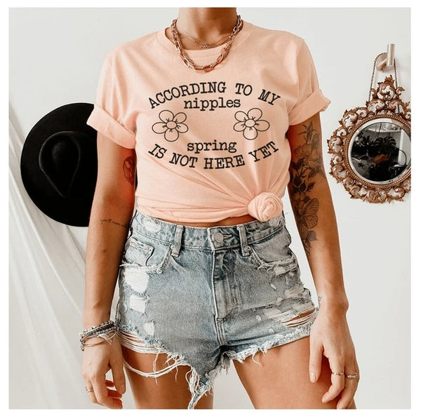 According To My Nipples Spring Is Not Here Yet T-Shirt