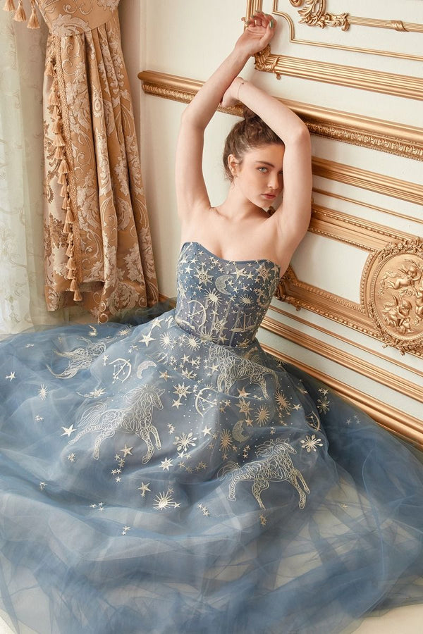Constellation Selene Tulle Straight Across Mid Open Back A-line Long Prom & Ball Dress CDA0890-0