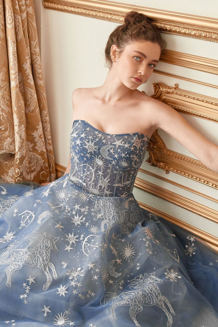 Constellation Selene Tulle Straight Across Mid Open Back A-line Long Prom & Ball Dress CDA0890-3