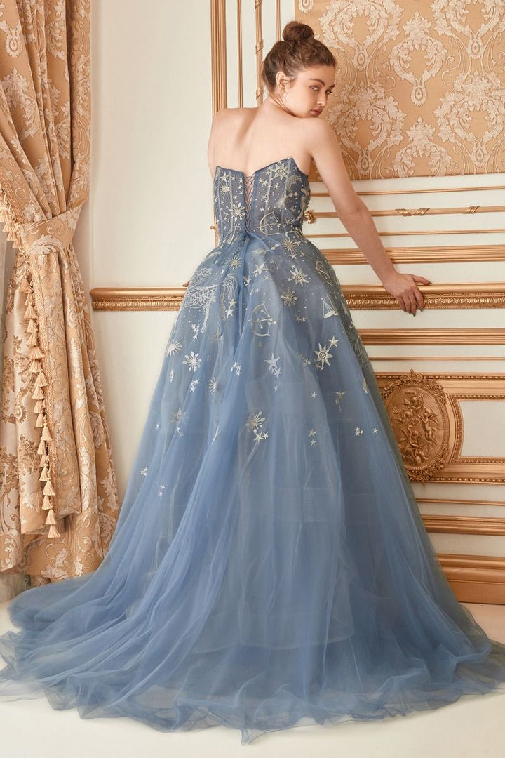 Constellation Selene Tulle Straight Across Mid Open Back A-line Long Prom & Ball Dress CDA0890-1