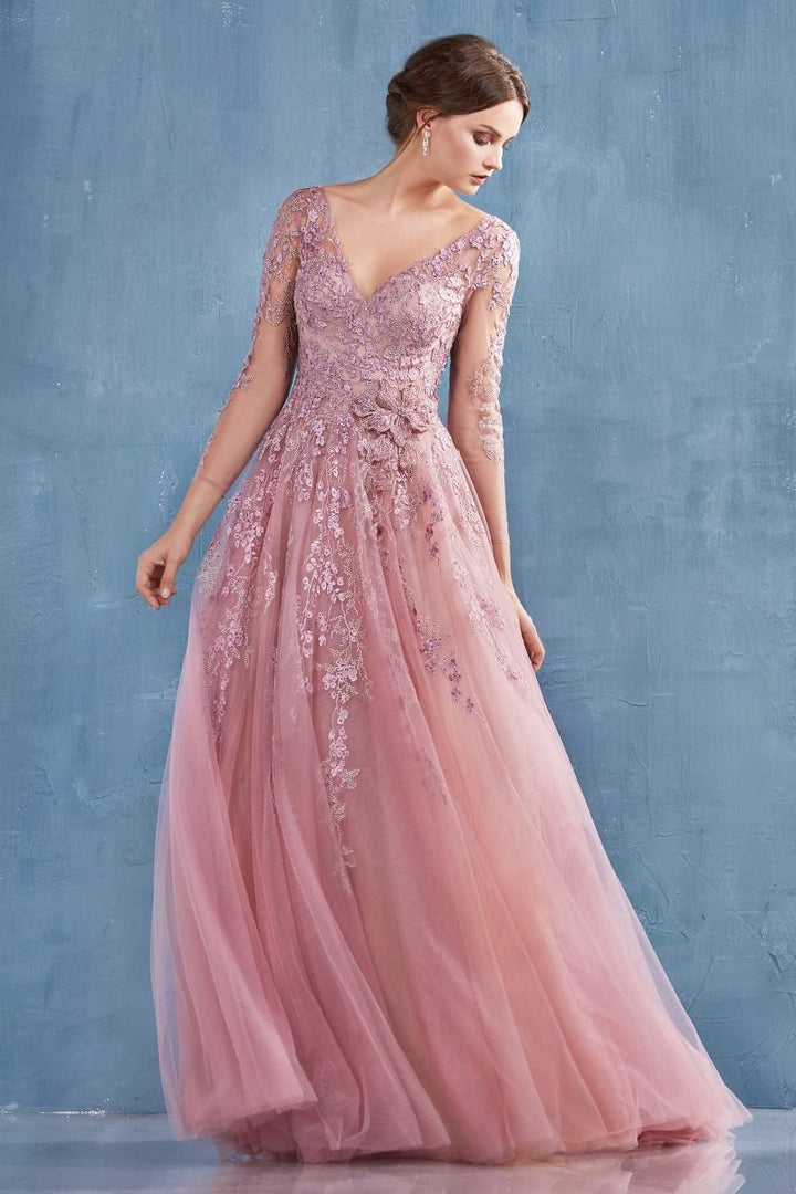 Long Sleeve V-neck V-back Bodice A-Line Long Mother Of The Bride & Prom Dress CDA0988-3