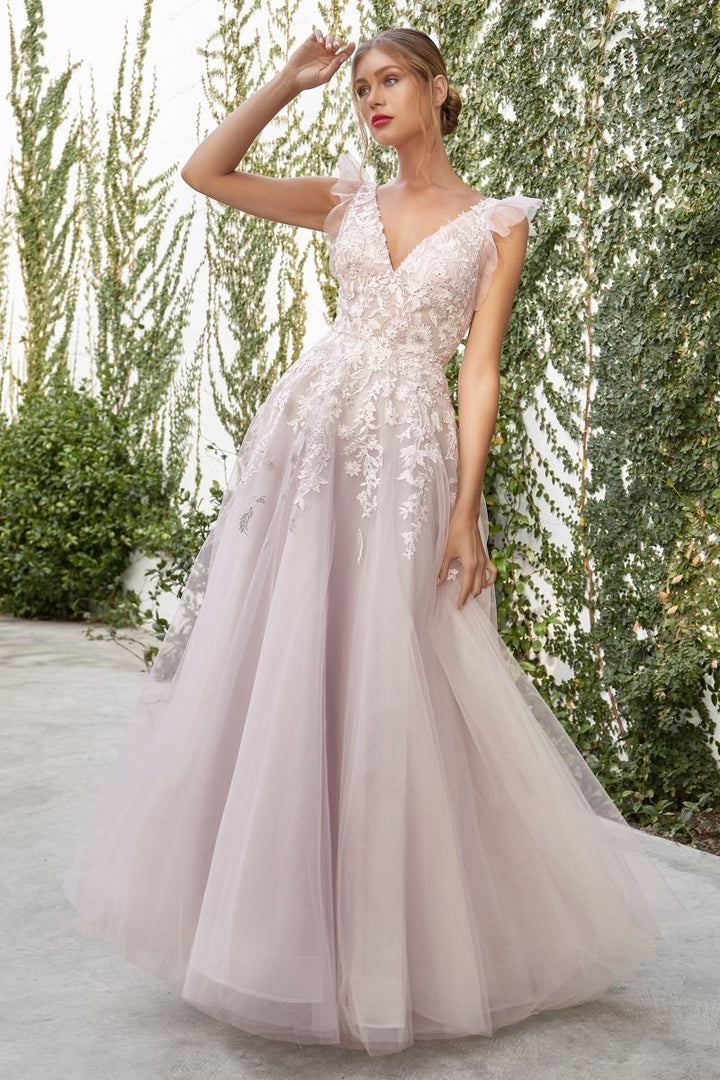 Lennox Floral Illusion V-Neck Open V-Back A-Line Long Prom Dress CDA1018-3