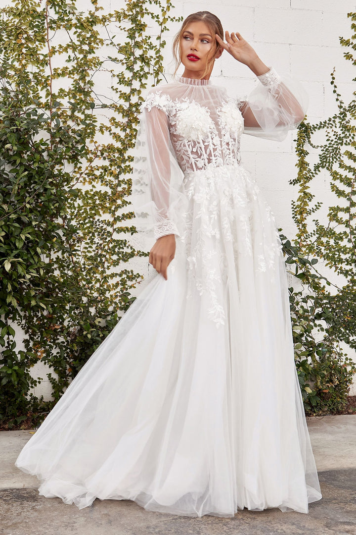 Kate Long Sleeves Sheer Appliqué Bodice A-line Comfortable Fit Long Wedding Dress CDA1074W-2