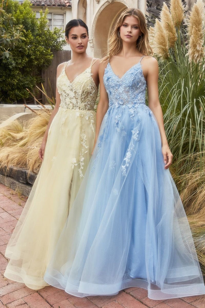 Alicia Floral Embroidery Tender V-neck Open Back A-line Long Prom & Bridesmaid Dress CDA1191-4