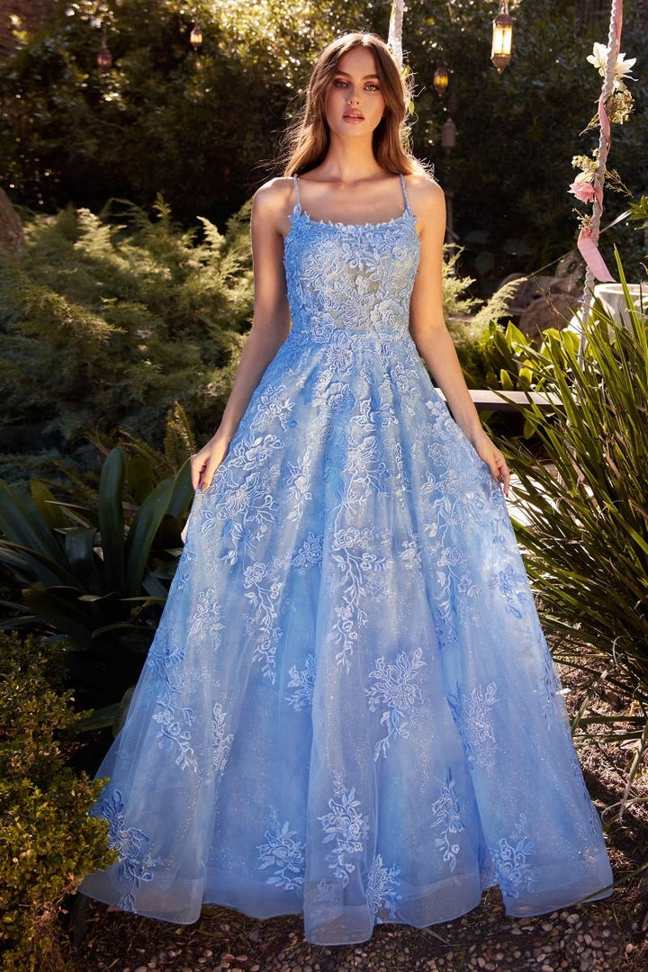 Lace Embellished A-Line Open Criss Cross Back Long Prom Dress CDA1248-0