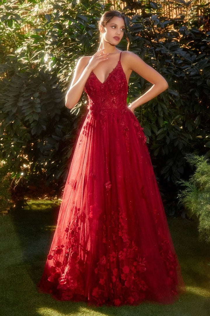 A-Line Floral Appliqued Tulle V-Neck Long Prom & Mother Of The Bride Dress CDA1326-1
