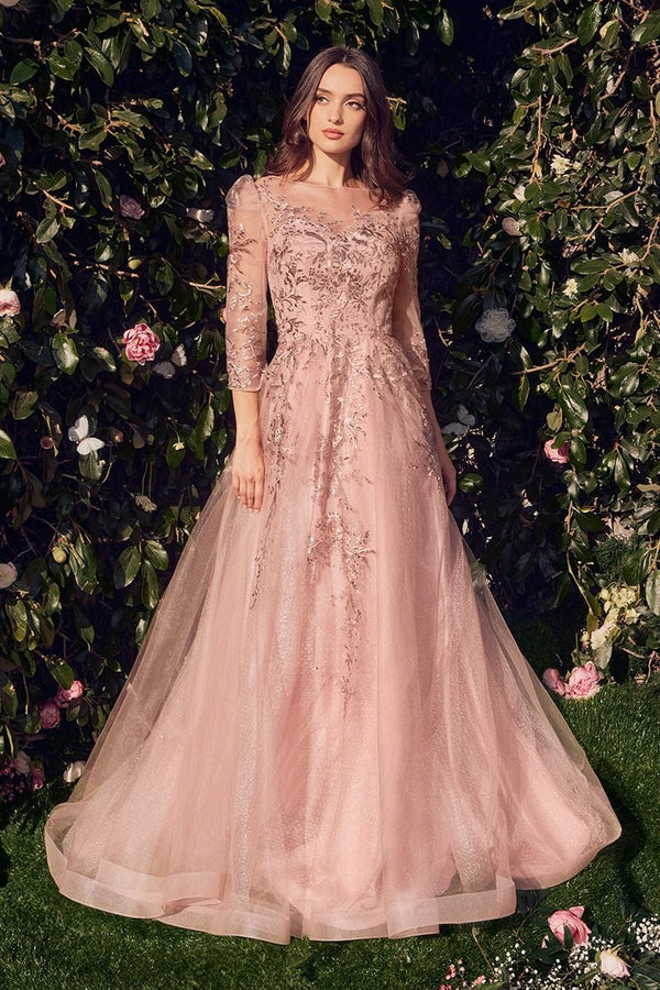 Kiss From A Rose Gown-0