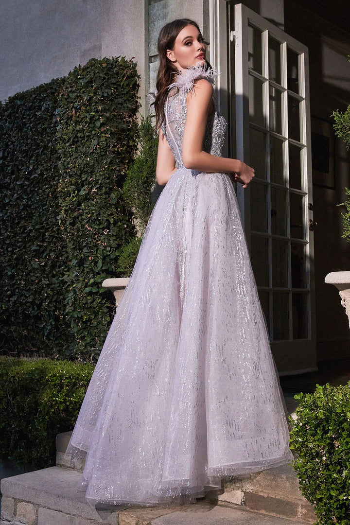 Feather Layered Tulle A-Line Embroidererd Bodice Long Prom Dress CDB704-1