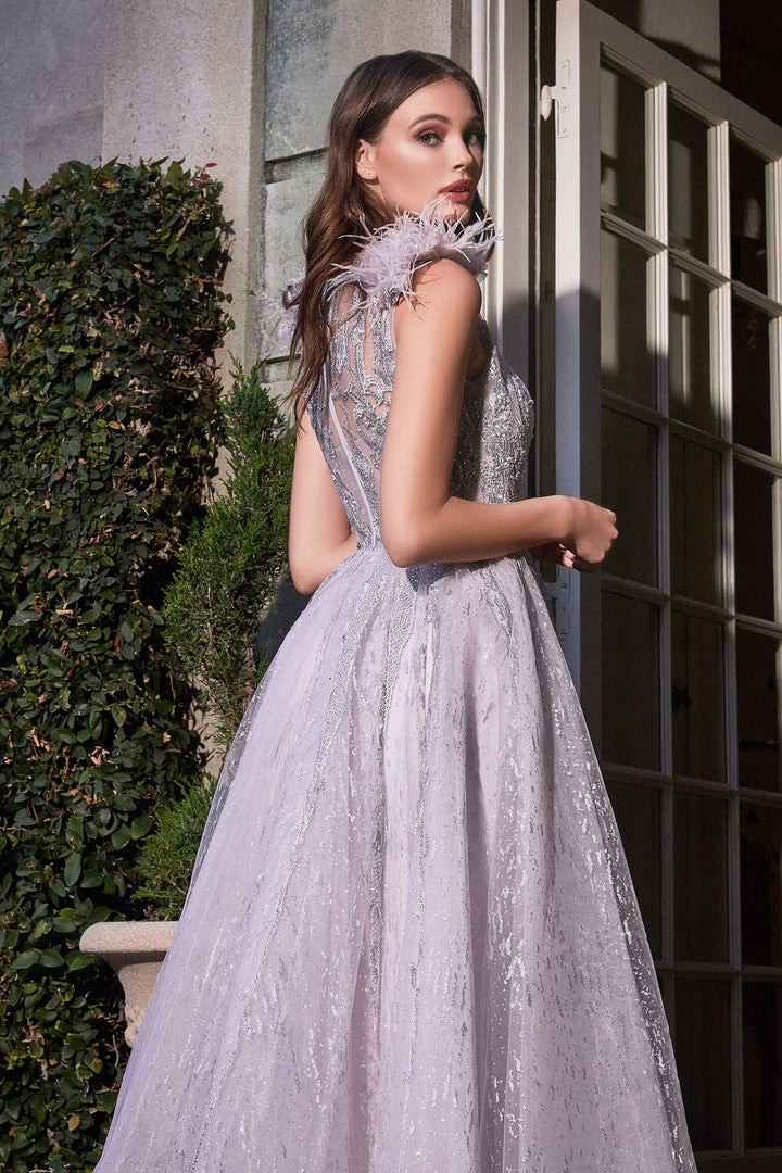 Feather Layered Tulle A-Line Embroidererd Bodice Long Prom Dress CDB704-2