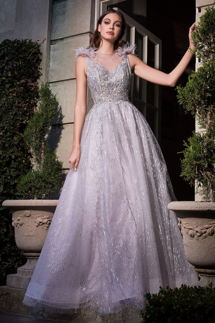 Feather Layered Tulle A-Line Embroidererd Bodice Long Prom Dress CDB704-0